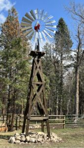 Windmill near pine trees