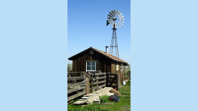 cowboys windmill