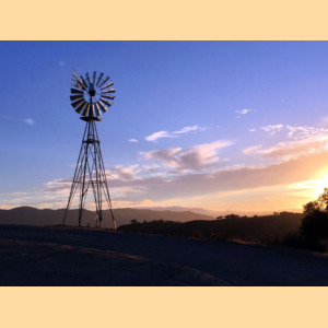 Windmill aerating pond