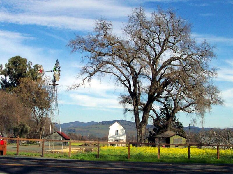 napa windmill