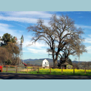 napa windmill