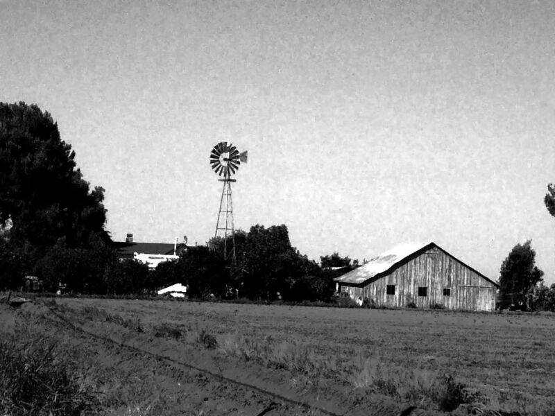 Old Chicago Windmill and Barn