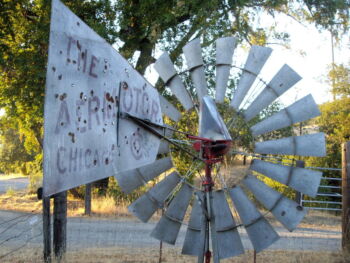 Windmill for sale