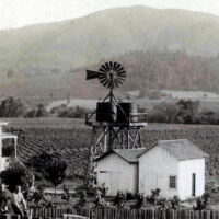 Windmill on a redwood tower