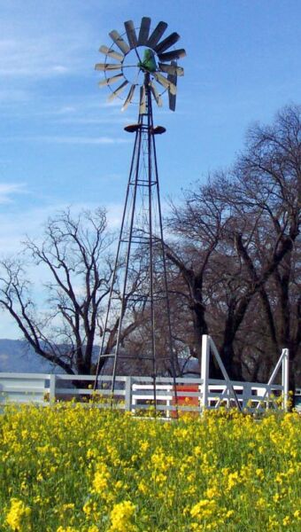 oakville windmill