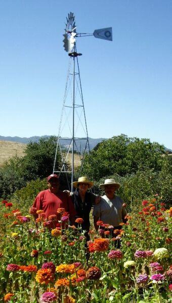 Tall Napa Windmill