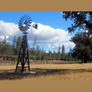 Wood windmill stand