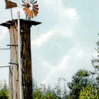 Windmill on a redwood tree