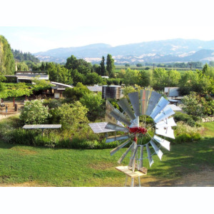 Windmill with Redwood Wood Water Tank
